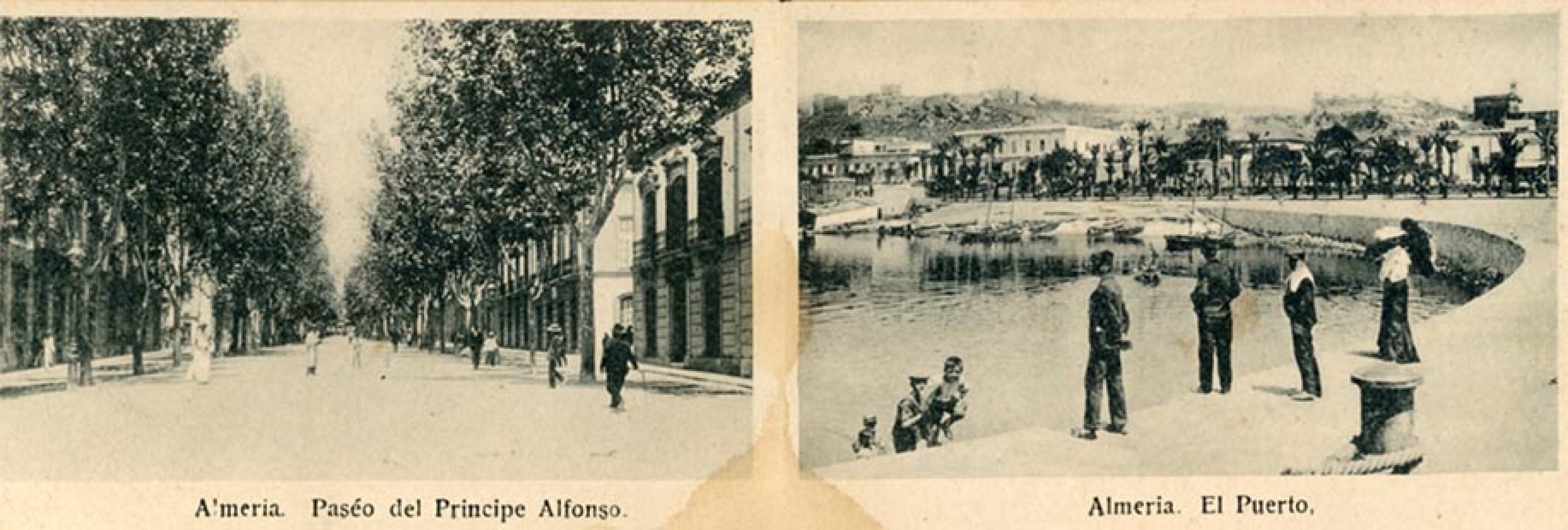 P 01.jpg